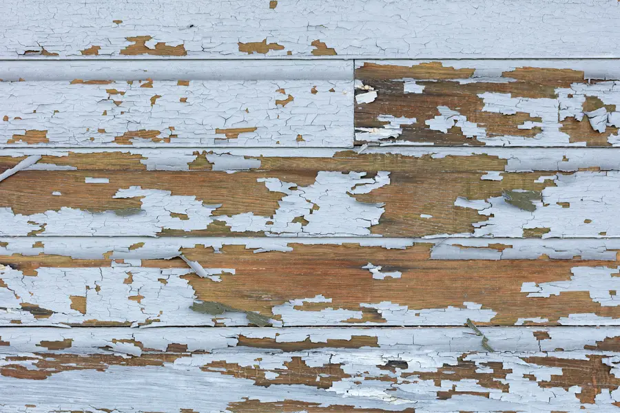 How Wood Rot Repair Enhances Property Longevity Apex NC