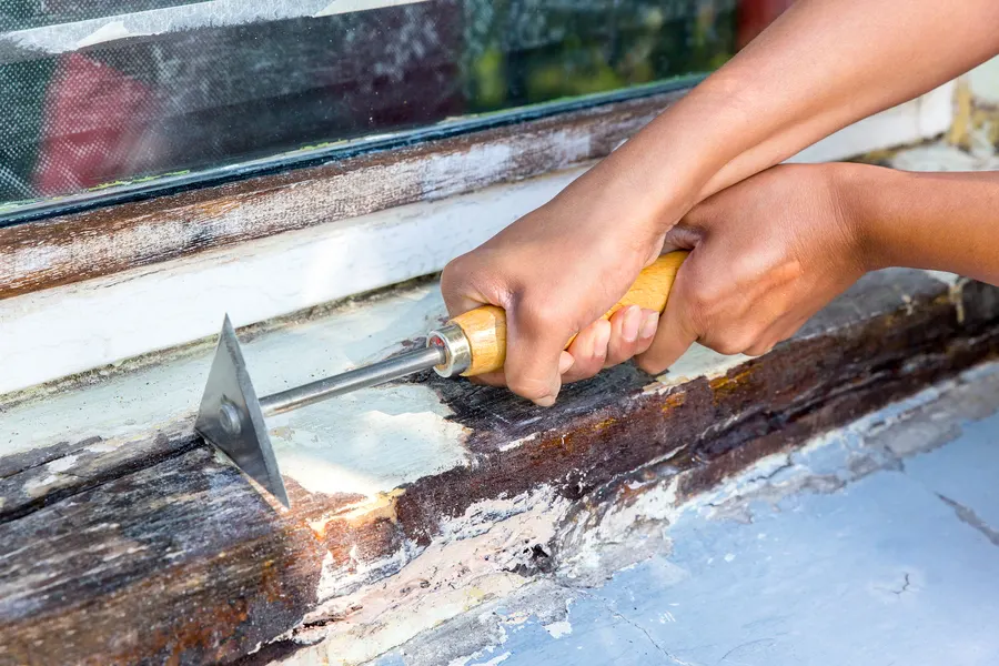 Reliable Wood Rot Repair Apex NC Reliable Wood Rot Repair Apex NC